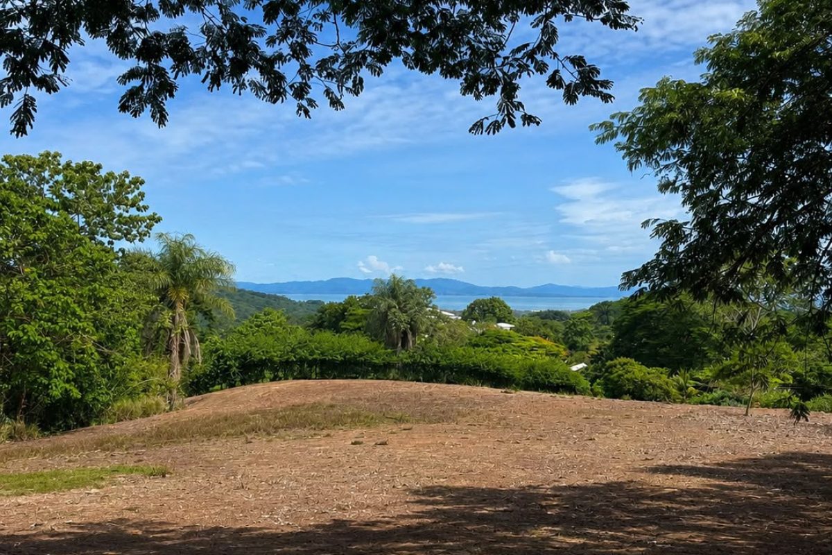 quinta-esencia-lote-5