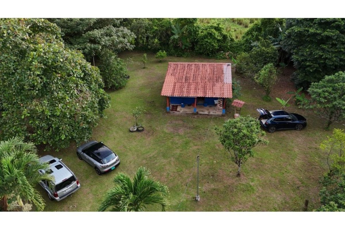 quinta_2