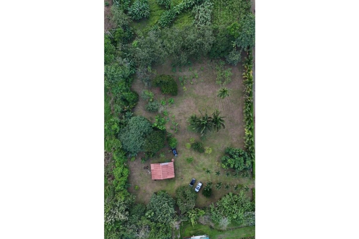 quinta_3