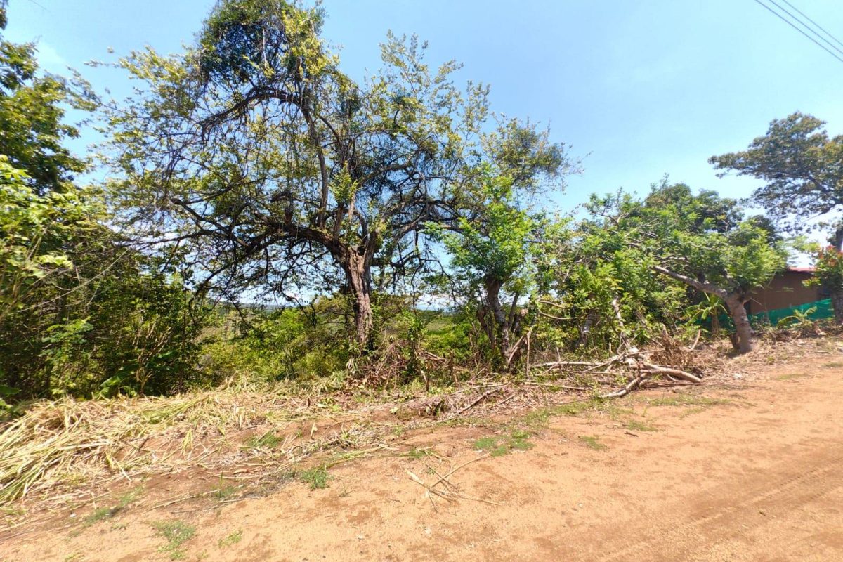 u1286-Lote-2-La-Quinta-Esencia-Esparza-12