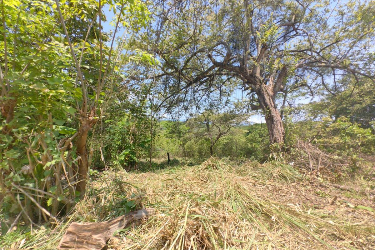 u1286-Lote-2-La-Quinta-Esencia-Esparza-16