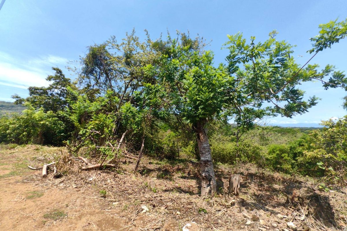 u1286-Lote-2-La-Quinta-Esencia-Esparza-2