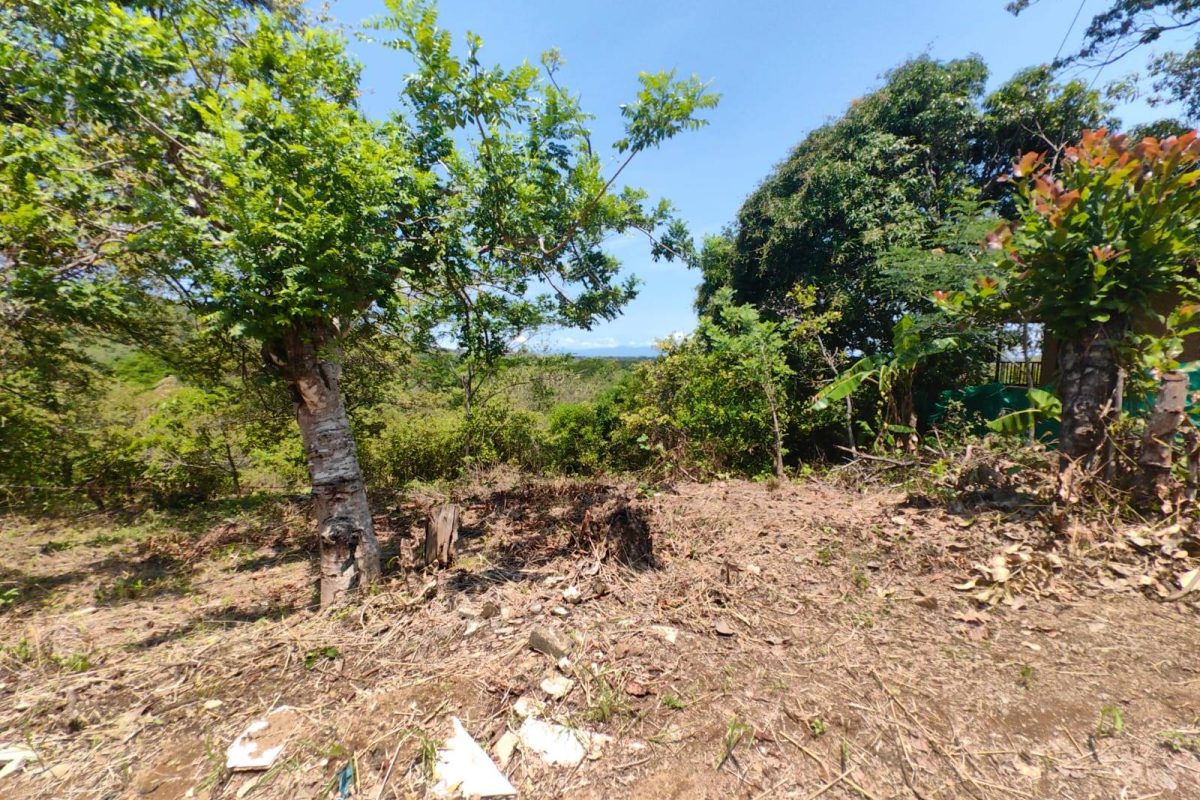 u1286-Lote-2-La-Quinta-Esencia-Esparza-20