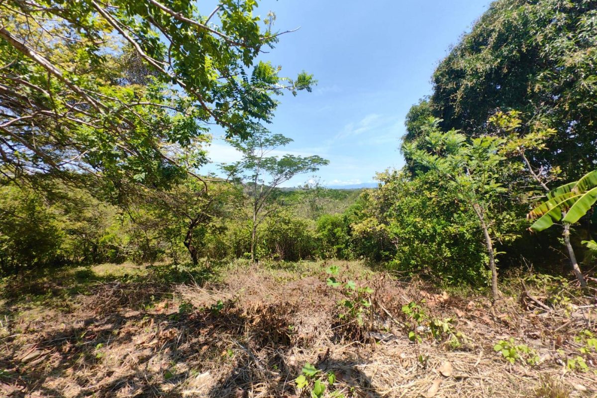 u1286-Lote-2-La-Quinta-Esencia-Esparza-6