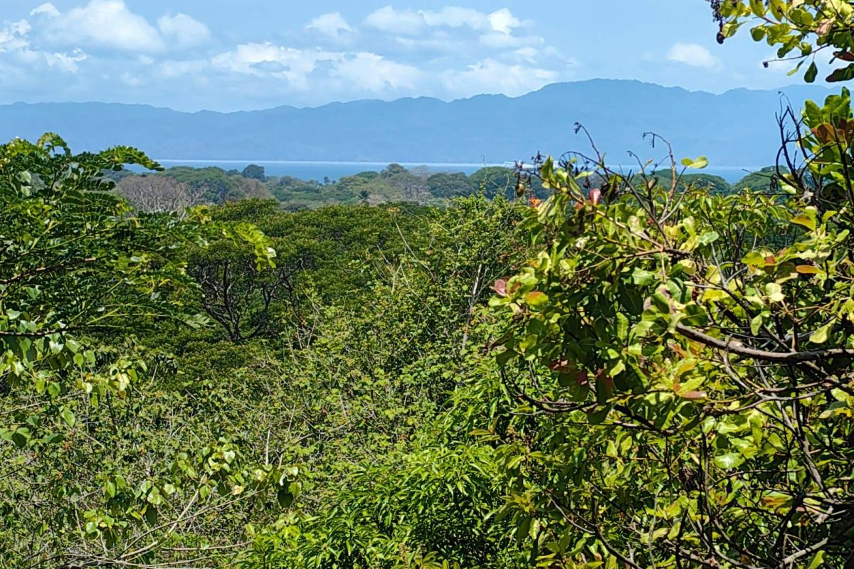 u1286-Lote-2-La-Quinta-Esencia-Esparza-7