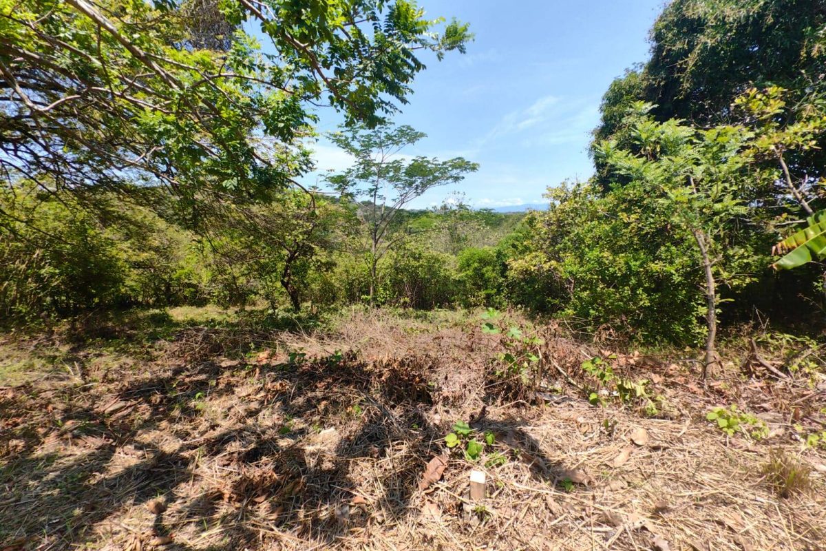 u1286-Lote-2-La-Quinta-Esencia-Esparza-8