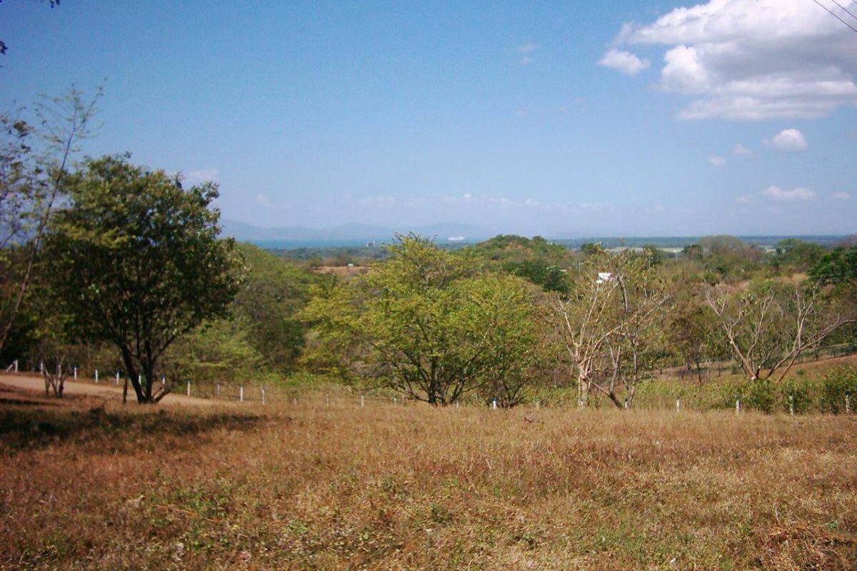 u1286-WhatsApp-Image-2025-01-21-at-08.01.04-4