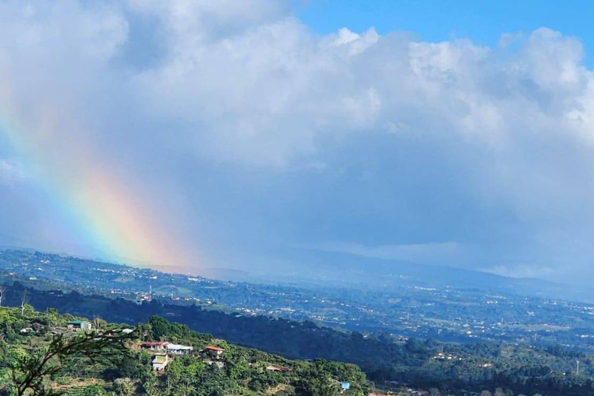 u1408-Real-Estate-Ademar-Cirri-Naranjo-11