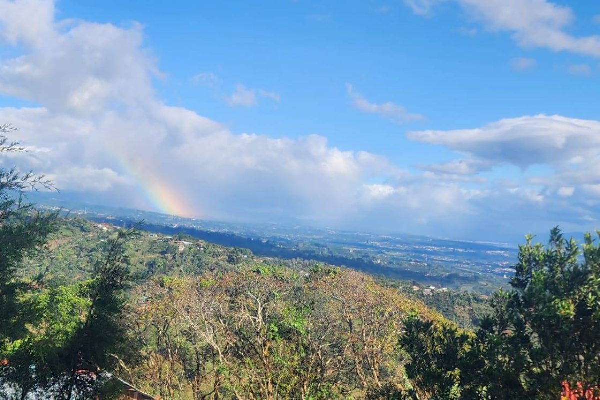 u1408-Real-Estate-Ademar-Cirri-Naranjo-12