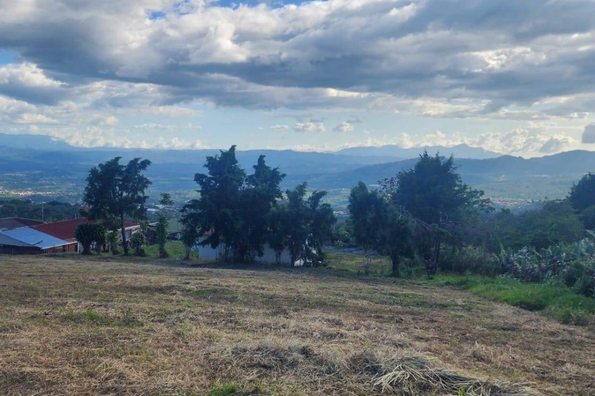 u1408-Real-Estate-Ademar-Cirri-Naranjo-8