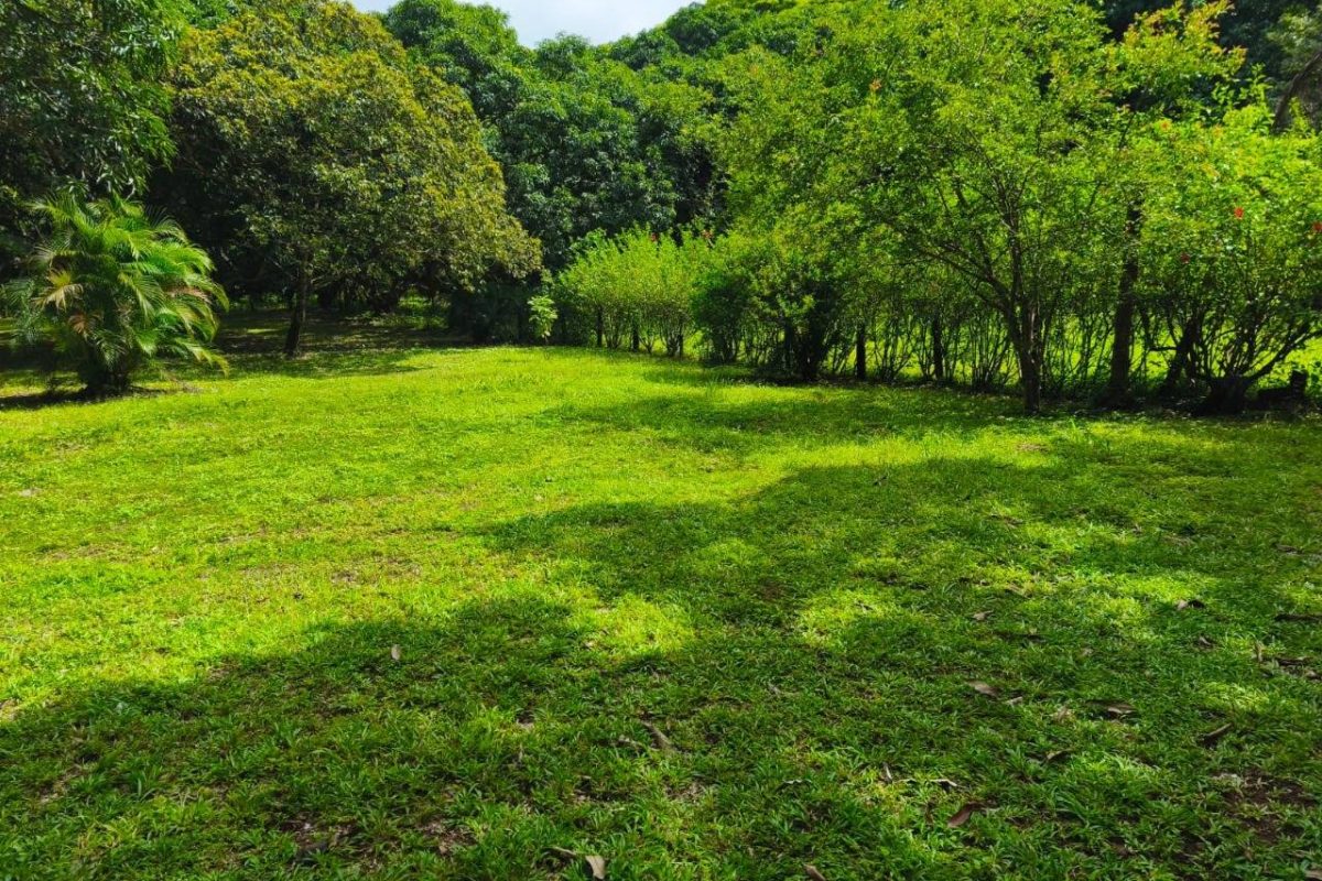 u155-IMG-20251018-WA0017