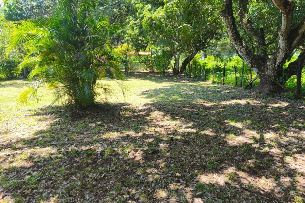 u155-IMG-20251018-WA0020