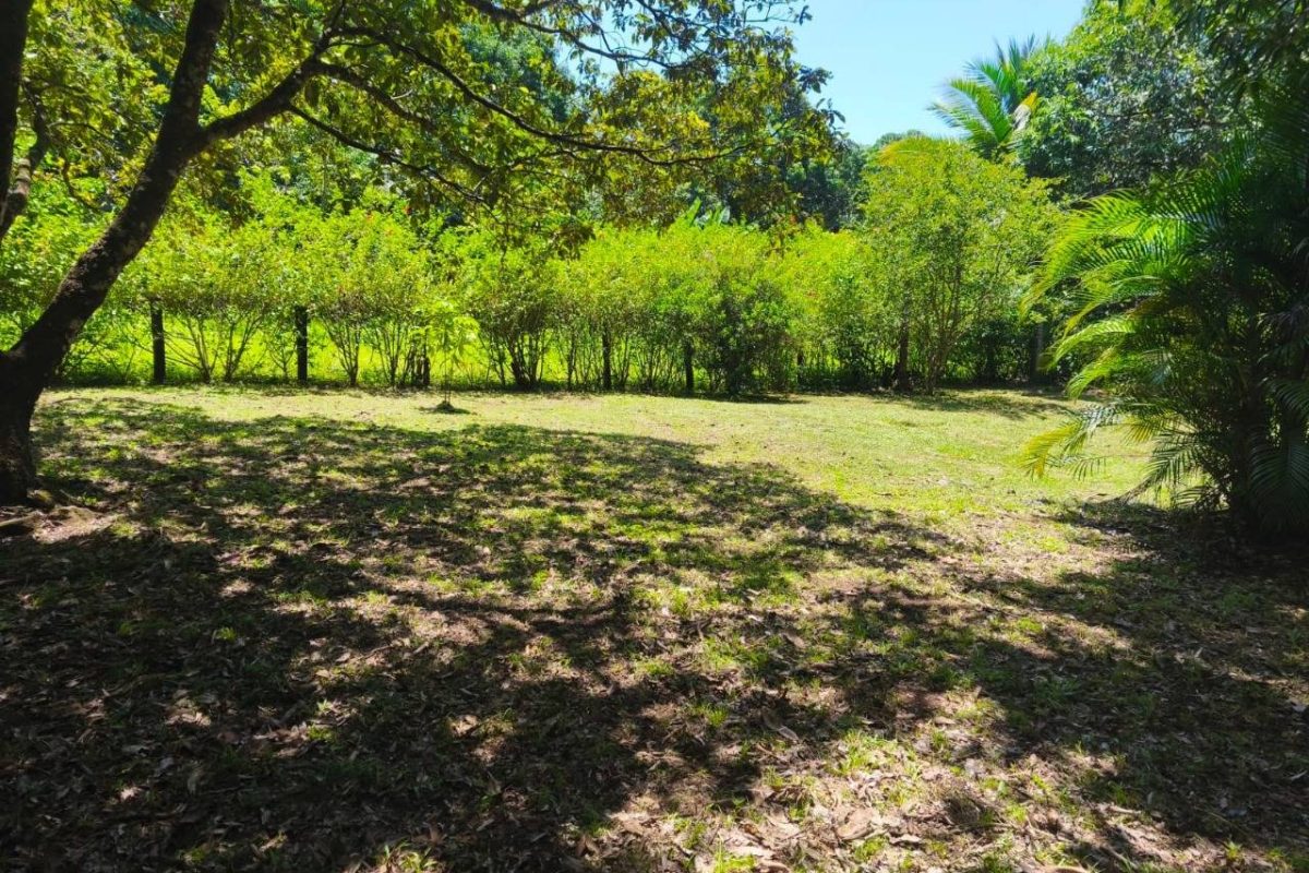 u155-IMG-20251018-WA0021