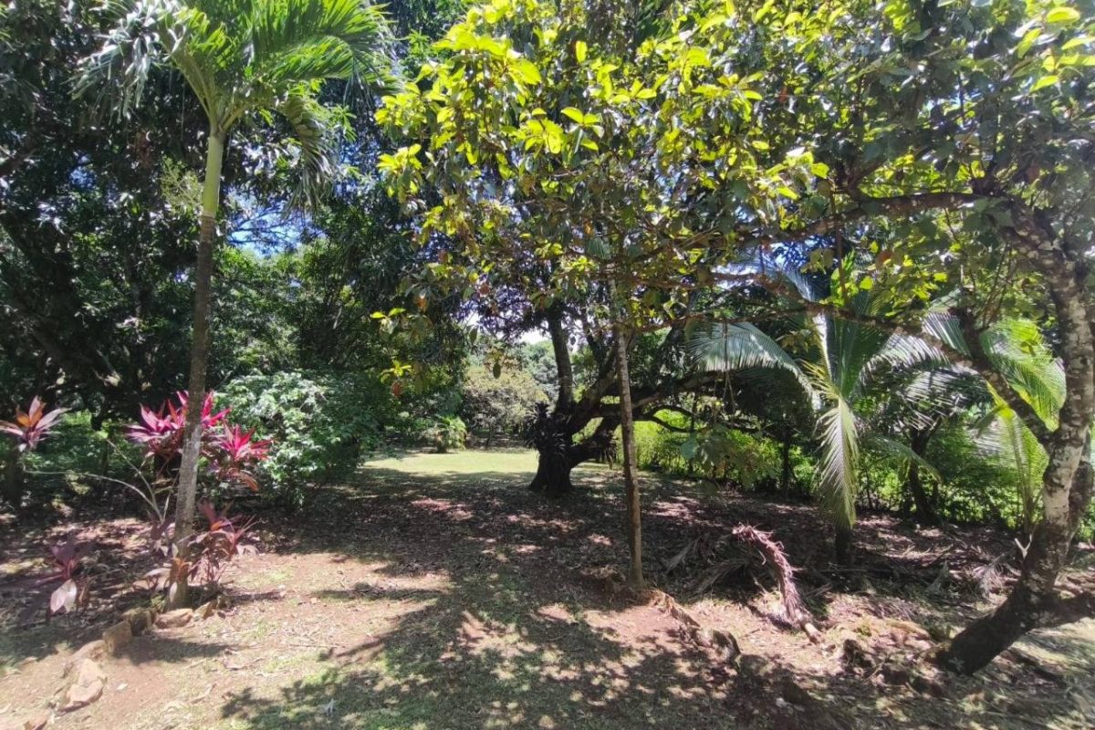 u155-IMG-20251018-WA0024