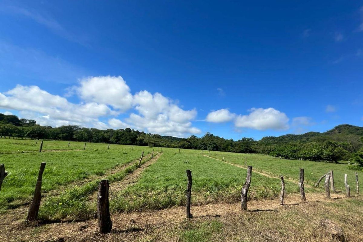 u1562-IMG-20250714-WA0050