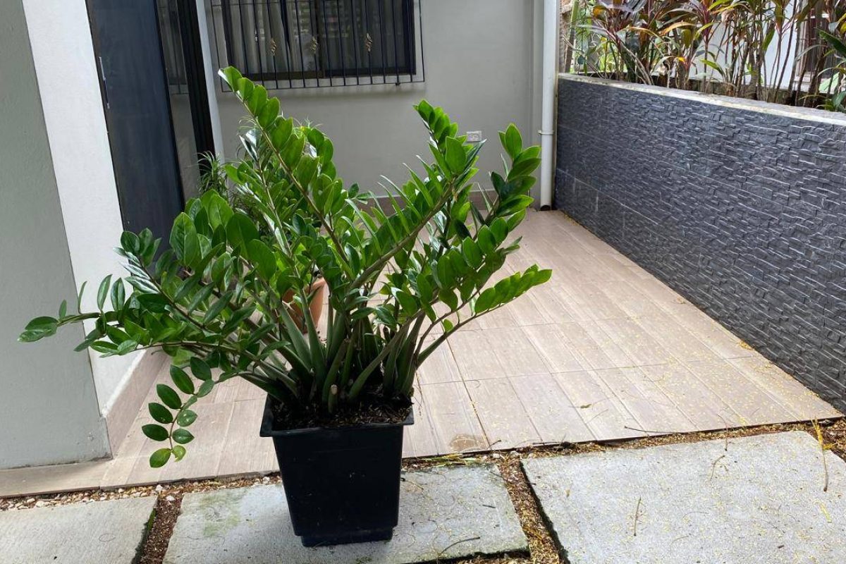 u1562-IMG-20250930-WA0057