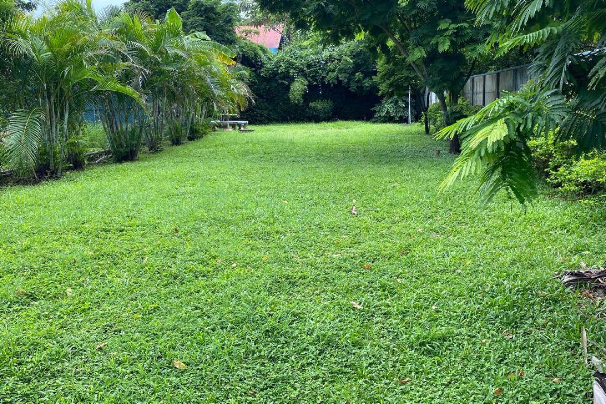 u1562-IMG-20250930-WA0061