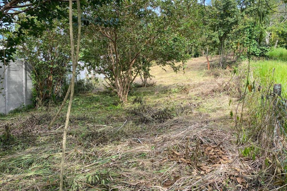 u1562-Imagen-de-WhatsApp-2025-09-30-a-las-15.01.41_40b0d3db