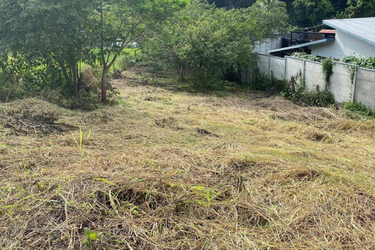 u1562-Imagen-de-WhatsApp-2025-09-30-a-las-15.01.41_82d31bf7