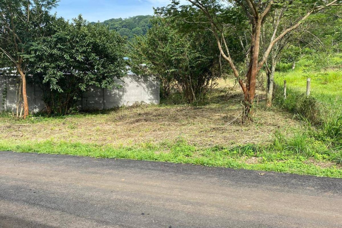 u1562-Imagen-de-WhatsApp-2025-09-30-a-las-15.01.41_b695f55c