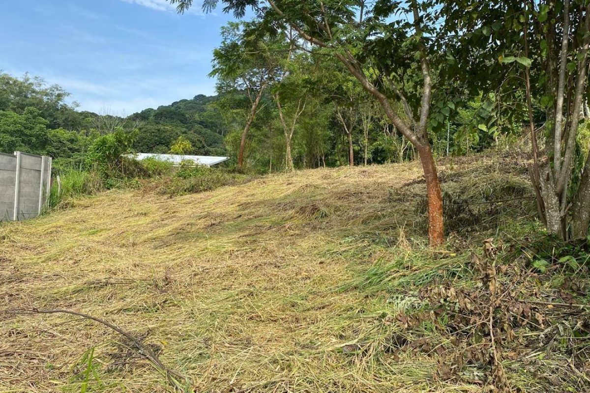 u1562-Imagen-de-WhatsApp-2025-09-30-a-las-15.01.41_fd116315