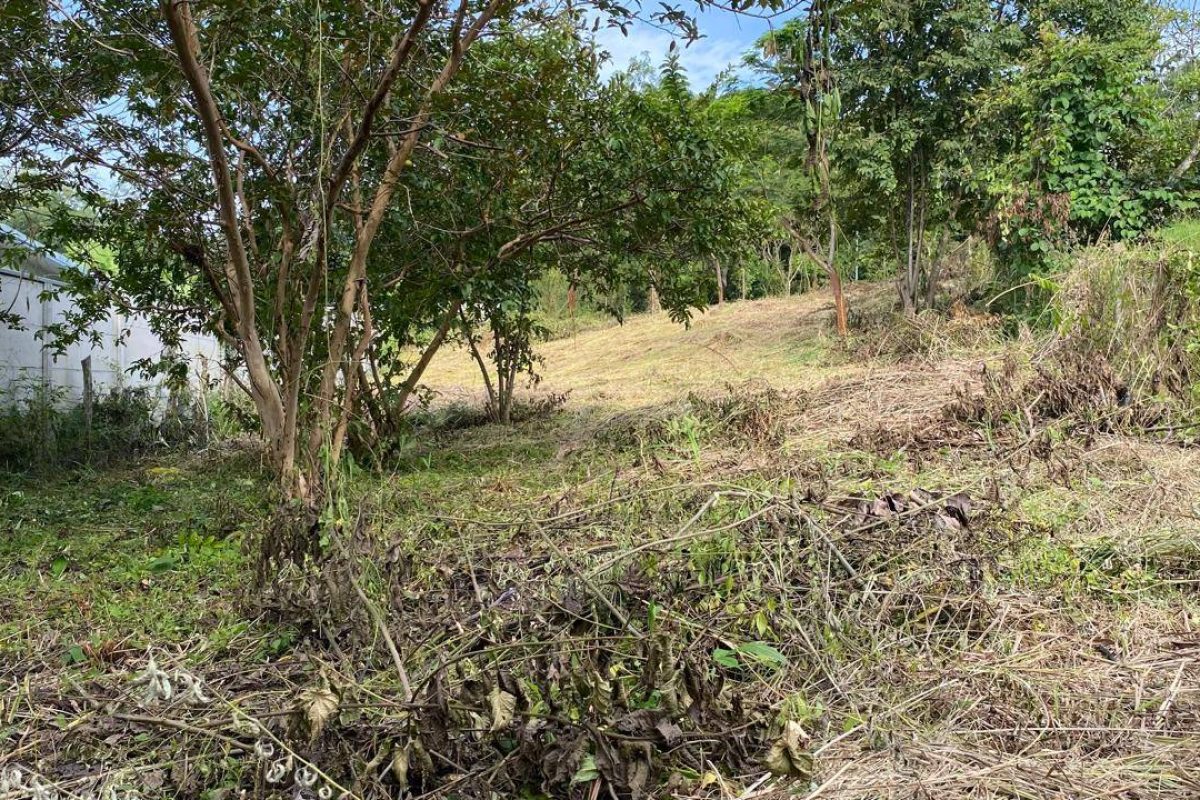 u1562-Imagen-de-WhatsApp-2025-09-30-a-las-15.01.41_ff1b7627