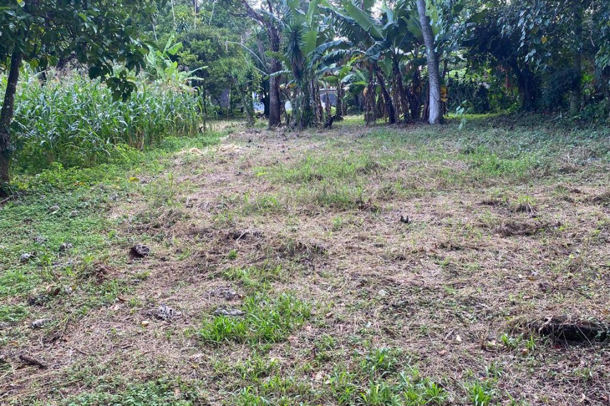 u1562-Imagen-de-WhatsApp-2025-09-30-a-las-15.10.16_bae2ea67