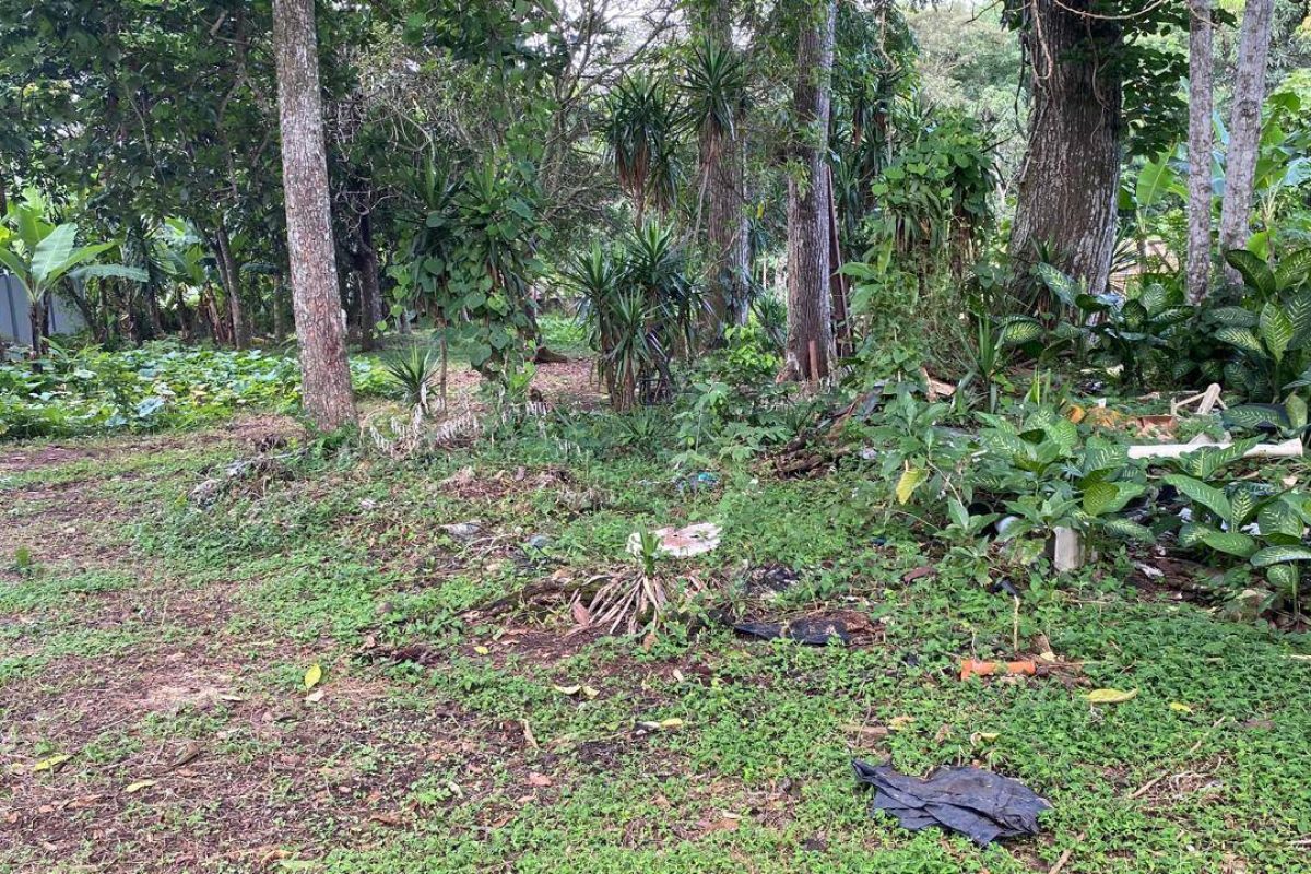 u1562-Imagen-de-WhatsApp-2025-09-30-a-las-15.10.17_53fd55ee