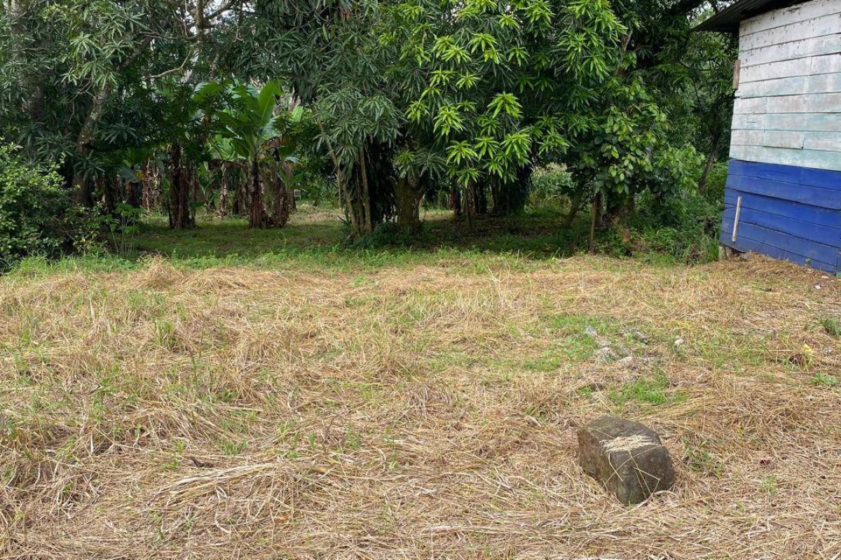 u1562-Imagen-de-WhatsApp-2025-09-30-a-las-15.10.17_9b288929