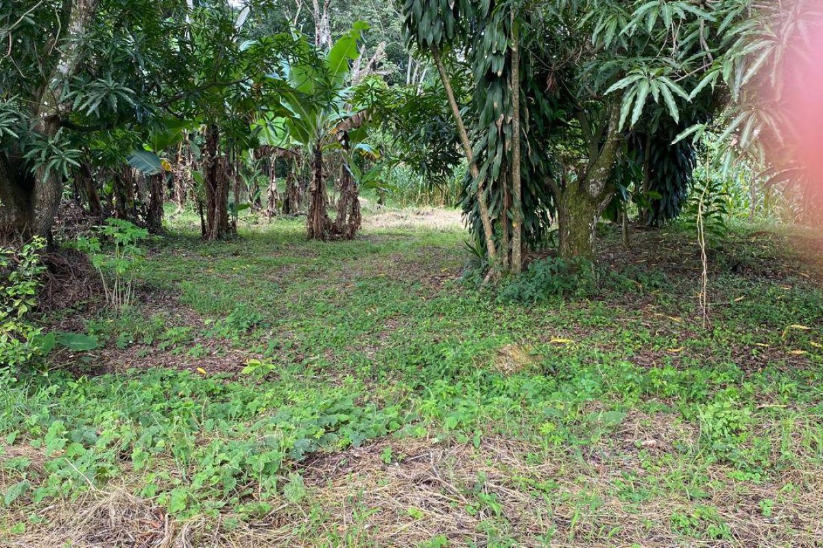 u1562-Imagen-de-WhatsApp-2025-09-30-a-las-15.10.17_a0be014f