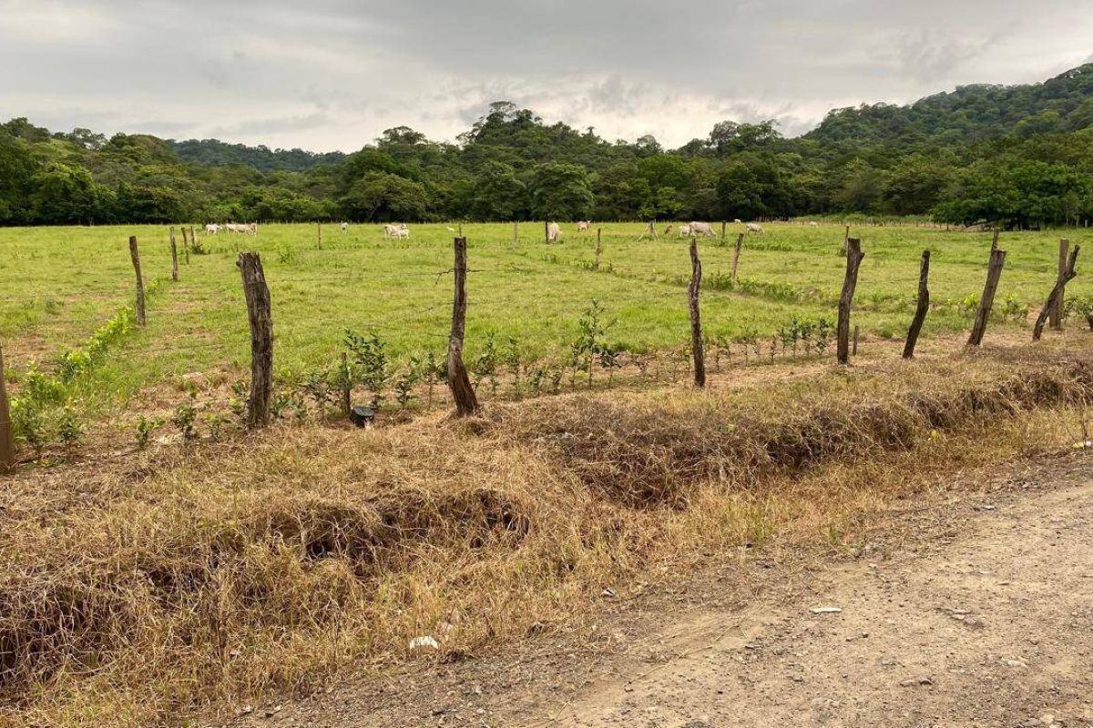 u1562-Imagen-de-WhatsApp-2025-09-30-a-las-16.01.37_10e55878