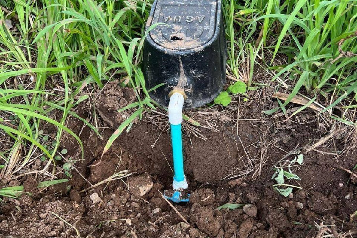 u1562-Imagen-de-WhatsApp-2025-09-30-a-las-16.01.37_7922505b