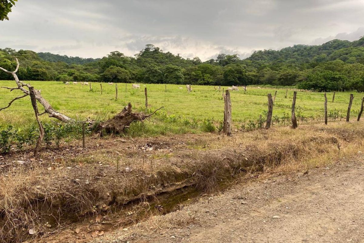 u1562-Imagen-de-WhatsApp-2025-09-30-a-las-16.01.37_d2738946