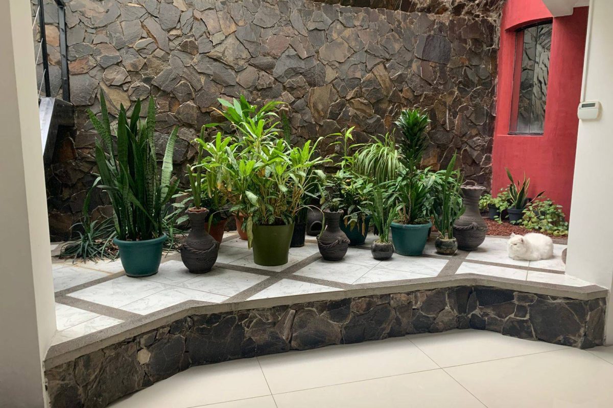 u1620-WhatsApp-Image-2025-10-02-at-9.16.02-PM-1