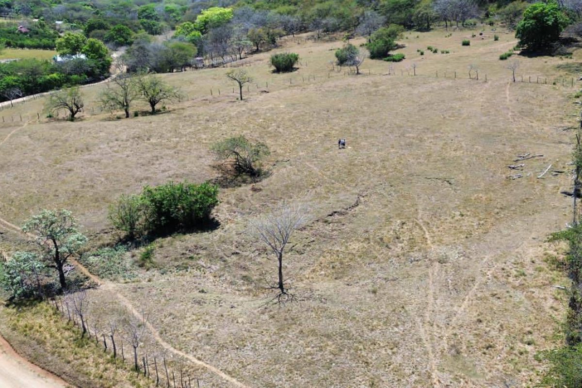 u1620-WhatsApp-Image-2025-10-02-at-9.18.37-PM