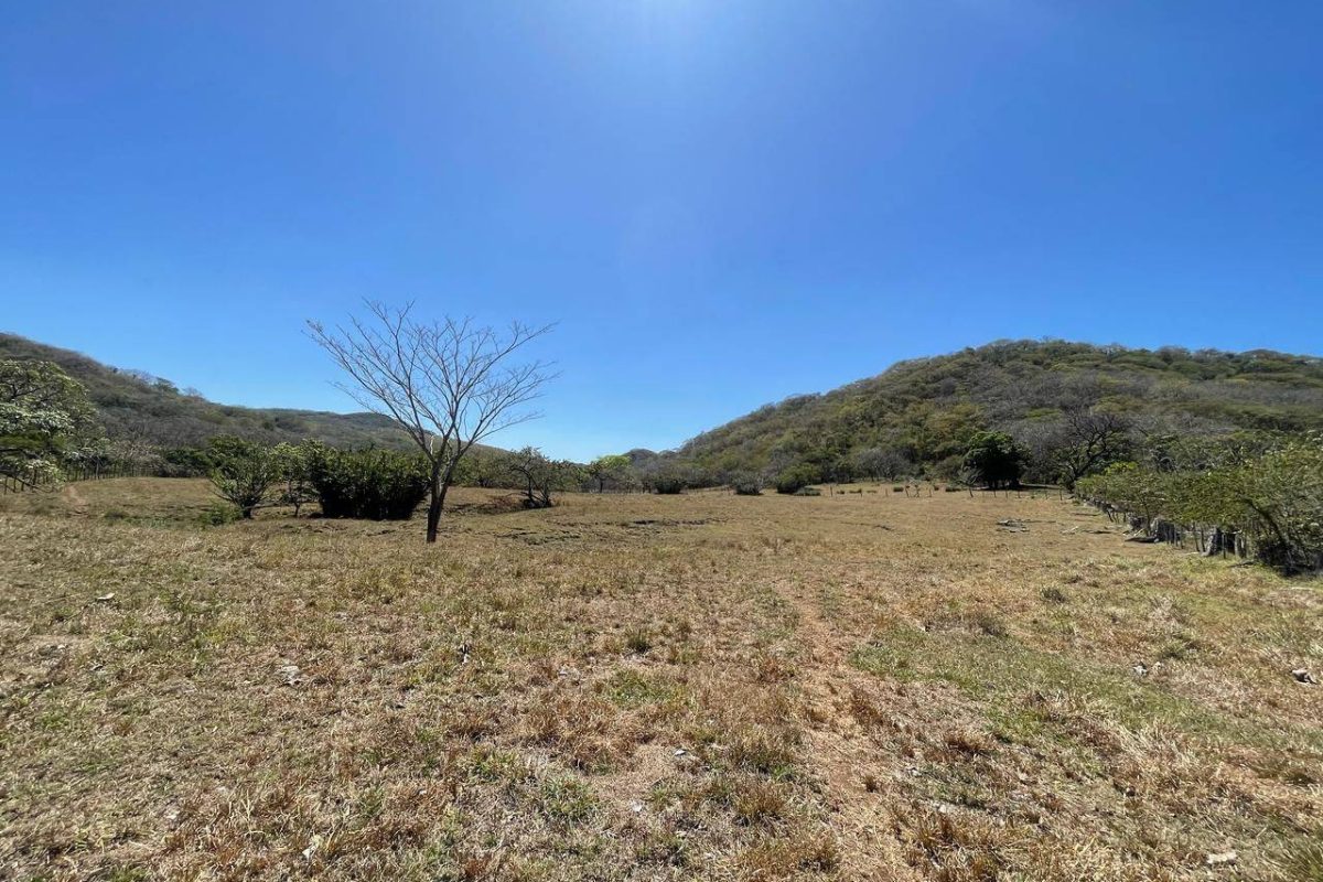 u1620-WhatsApp-Image-2025-10-02-at-9.18.38-PM-4