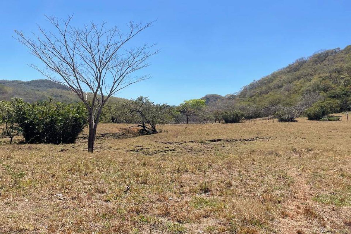 u1620-WhatsApp-Image-2025-10-02-at-9.18.39-PM