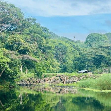 u907-Vista-del-Rio-Zapoa-y-la-finca